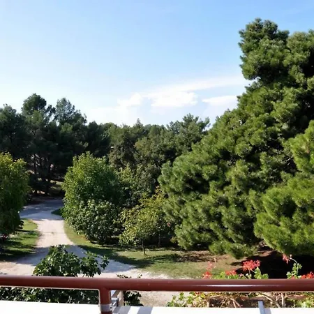 House Ritosa, For Max 8 Persons Area 3* Poreč